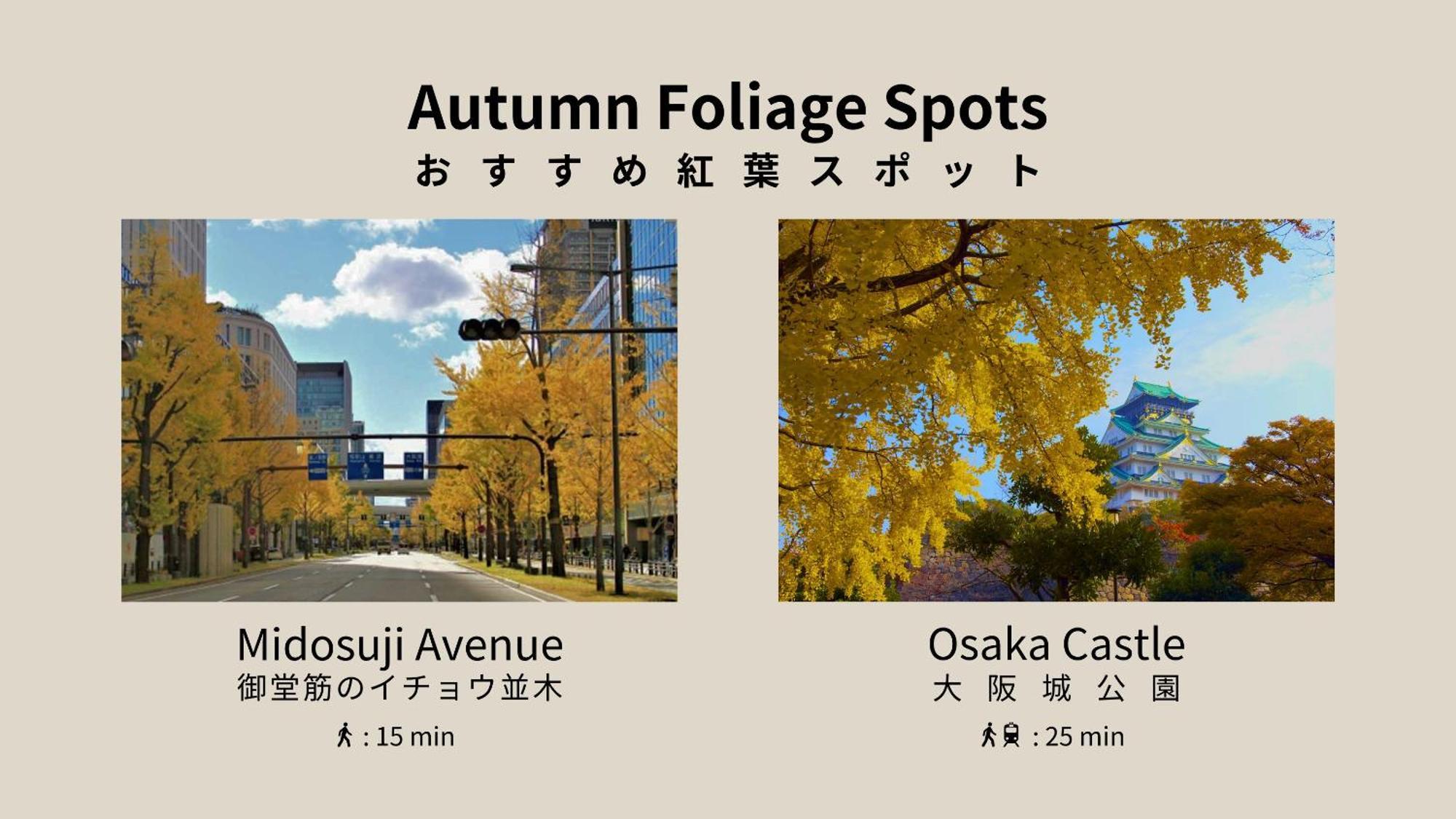 Forestay Shinsaibashi โอซาก้า ภายนอก รูปภาพ